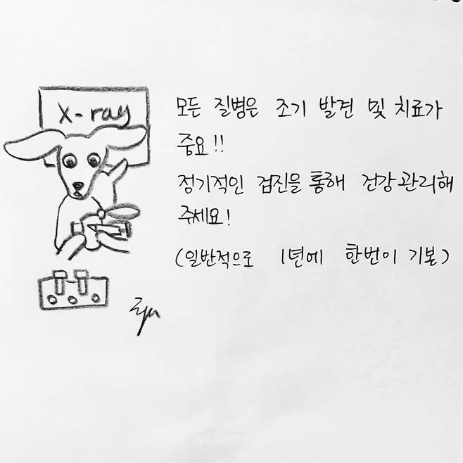 해피펫툰 닥스훈트(한인가 수의사 제공) © 뉴스1