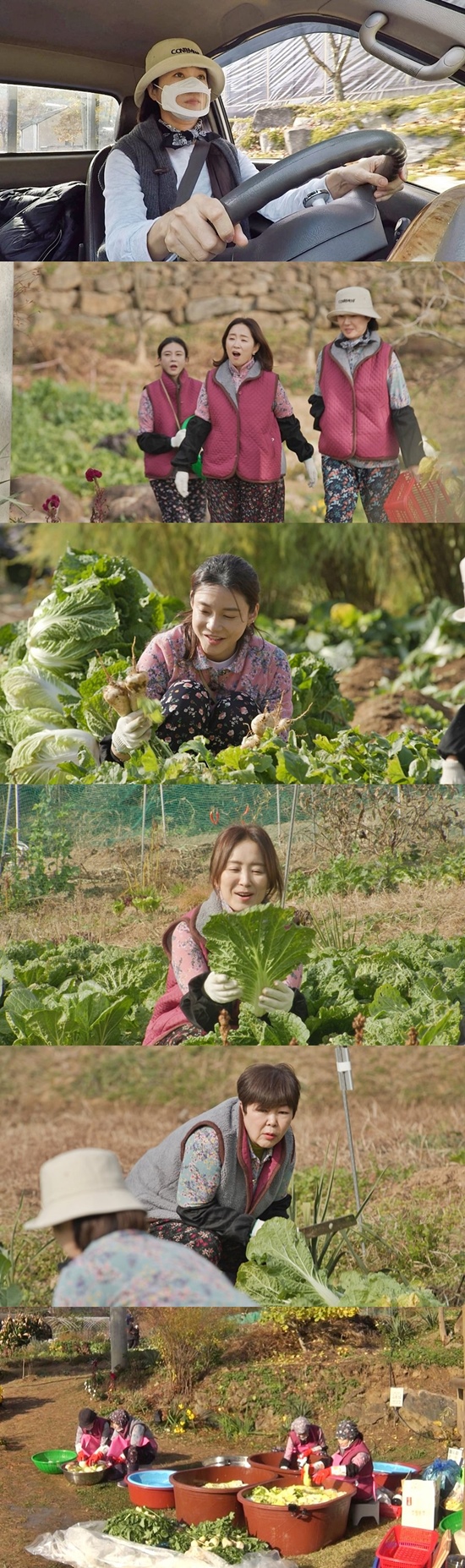 On SBS One Mans War Needs, which will be broadcast on the 23rd, the Seongsu-dong 4-member group (Oh Yeon-soo, Yun Yu-Seon, Lee Kyung-min and Cha Ye-ryun) will go to Top Model for the first kimchi of their life.On this day, Oh Yeon-soo appeared with Mitsubishi Fuso Truck and Bus Corporation with his unstoppable driving ability.The members who waited for Oh Yeon-soo expressed their admiration for the incredible sight of Mitsubishi Fuso Truck and Bus Corporation driving, and Cha Ye-ryun was surprised to say, Is it a Sister?The place they were waiting for was the garden where they planted seedlings two months ago.It is the back door that the materials and equipment necessary for the kimchi with the directly planted cabbage and radish were loaded into the Mitsubishi Fuso Truck and Bus Corporation.The Seongsu-dong group harvested Chinese cabbage and radish planted two months ago before Kim Jang, and soon after, Lee Kyung-min was in crisis and screamed.Oh Yeon-soo sighed and said, Look at that Sister, really.Lee Kyung-mins actions, which made Oh Yeon-soo laugh, raise questions about what will happen.The next day, the Seongsu-dong four-person group started full-scale kimchi and the kimchi ingredients including 100 cabbages filled with sperm front yard predicted the future kimchi hell.First, I acted in two teams: a team that washes pickled cabbage and a team that was used in abrad.However, as the work speed slowed down due to the enormous amount that does not decrease even if it continues, Yun Yu-Seon said, I play while I work. The studio MCs who watched it said, Is it Kim Jang or wavelength?I am curious about what kind of ending those who are in a situation of immediate action will face.In addition, Actor, who is known as a best friend and Kim Jang specialist for all four people who are Kim Jang novice, appeared as a support group.She was welcomed with a strong welcome, and as soon as she came, she quickly grasped the situation and felt her fate and laughed around her.However, I will change into a work clothes soon, and I can not finish it before it gets dark at this speed, he said.The first Top Model of the Seongsu-dong four-member twists and turns can be found on One Mans War, which is broadcasted at 9 pm on Thursday, 23rd.Photo = SBS