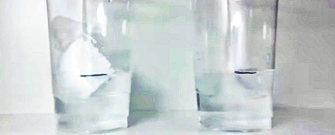 얼음을 스티로폼 조각 위에 얹은 물컵과 그냥 넣은 물컵. 김시우, 이채원 학생팀 실험 동영상 갈무리