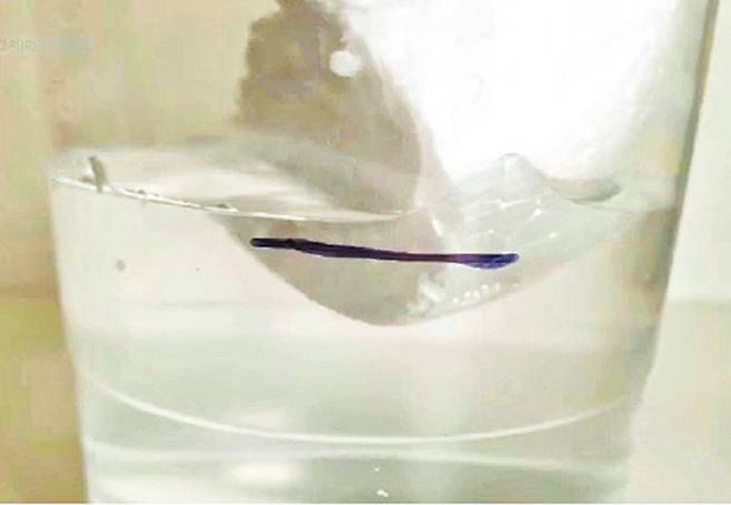 얼음이 녹으면서 스티로폼 쪽 수위만 높아졌다. 김시우, 이채원 학생팀 실험 동영상 갈무리