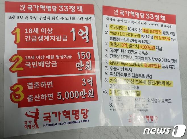 25일 대전 서구의 한 아파트 단지에 배포된 국가혁명당 홍보물.©뉴스1 최일 기자