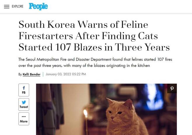 "한국 소방당국, '고양이 방화범'에 대해 경고" ['피플' 온라인 화면 캡처. 재판매 및 DB 금지]