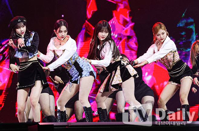 티브이데일리 포토