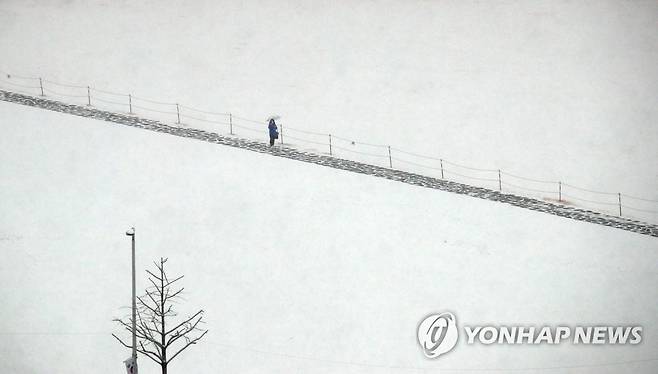 눈 내리는 풍경 대설주의보가 내려진 대전 지역에 지난해 12월 30일 오후 많은 눈이 내리고 있다. 한 시민이 눈 쌓인 대전 서구 보라매공원을 걷고 있다. [연합뉴스 자료사진]