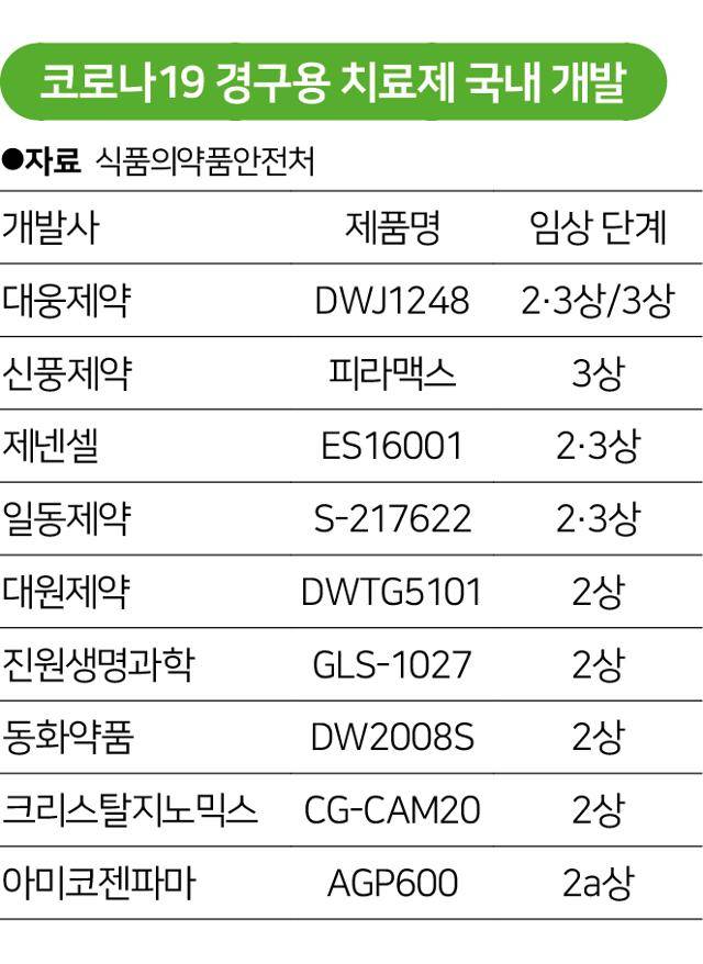 코로나19 경구용 치료제 국내 개발 현황. 그래픽=송정근 기자