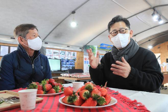 김현수 농림축산식품부 장관(오른쪽)이 11일 충남 논산시 딸기 재배 농가와 농협 산지유통센터를 방문해 딸기 작황 및 출하 상황을 점검하고 있다. [농림축산식품부 제공]