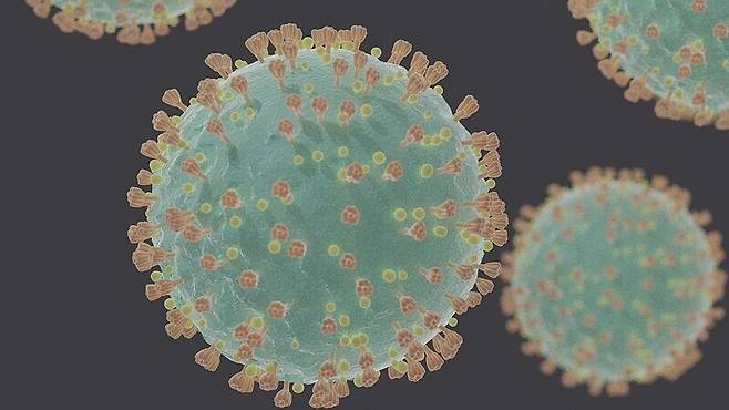 코로나19 바이러스의 입자 모형. 돌기처럼 솟아 있는 것이 스파이크단백질이다. 위키미디어 코먼스
