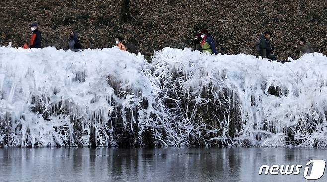 맹추위가 이어진 13일 울산 남구 선암호수공원을 찾은 시민들이 얼음으로 뒤덮인 산책로를 거닐고 있다. 2022.1.13/뉴스1 © News1 윤일지 기자