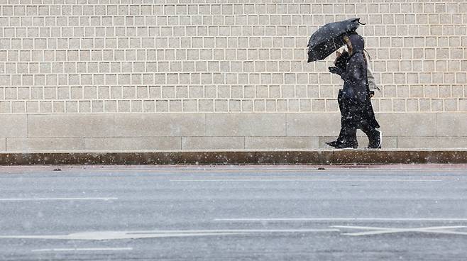 서울 지역에 눈이 내린 17일 오후 우산을 쓴 시민들이 경복궁 돌담길을 지나고 있다.   연합뉴스