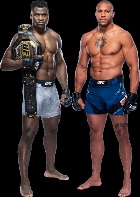 파워의 은가누(왼쪽)와 스피드의 가네(사진=UFC)