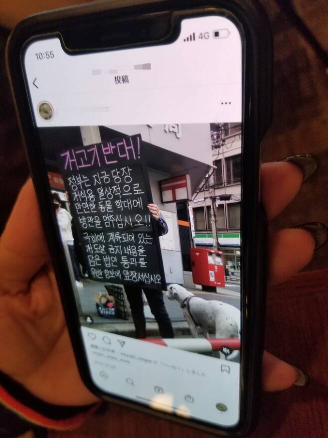 개 식용 반대 활동을 하고 있는 마쓰다 게이코씨가 17일 오사카주재 한국총영사관 앞에서 항의 집회를 하고 있는 남편과 애견 에스퍼 사진이 게시된 사회관계망서비스(SNS)를 보여주고 있다. 도쿄=김청중 특파원