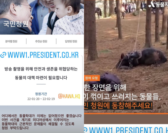 Amid the shock news that the horse died following the controversy over animal abuse by the Taijong Yi Bang-won, Actors also expressed discomfort, including asking for active petitions from the public following Actor Ko So-young.Already, the drama homepage viewer bulletin board is asking for abolition.Recently, KBS 1TV Taejong Yi Bang-won 17th episode was exposed to a stunning scene to watch.In the scene, it was reported that the rope was tied to the ankle of the horse at the time of shooting and forced it to fall down. For this reason, the body of the horse was turned over 90 degrees in the scene of the problem and the head was plummeting on the floor.In this process, the stuntman Actor, who replaced Actor Kim Young-chul, also fell to the floor without any protective device, and immediately after the video shoot, the staff rushed to check the safety of Actor, but the horse was written alone with the body overturned.Especially, I was shocked because I could not move properly after shaking my back foot as if I was in a great shock.In this regard, the Animal Freedom Solidarity released the scene footage at the time of shooting and strongly criticized the scene of Taejong Yi Bang-won, saying, When many people shot the scene of knocking down the horse as they were concerned, I confirmed that I had forced it to fall down.In addition, he said, I am very worried that the horse may have suffered serious harm. It is a shameful behavior to treat animals as properties for broadcasting on KBS, a public broadcaster.In particular, the current Animal Protection Act stipulates that injury to animals for the purpose of gambling, advertising, entertainment, and entertainment is defined as Cruelty to Animals, so this scene is also subject to obvious Cruelty to Animals punishment.However, some believe that intentionality is the key.Since then, the Animal Freedom Solidarity has said that the words of Taejong Yi Bang-won are officially asking for the survival and safety of the horse. Unfortunately, the horse is said to have died.On the 20th, KBS1 drama Taejong Yi Bang-won said, It is a very difficult shooting to shoot a falling scene.The safety of the horse is basic, and the safety of the actor on the horse and the safety of the staff who shoot it should be considered.We have been preparing and checking for an accident that might happen a few days ago, he said. Unfortunately, we confirmed that he died about a week after shooting.I can not help but have a deep sense of responsibility for the unfortunate occurrence.I apologize again for the failure to prevent accidents and the unfortunate occurrence, he said. I will try to find other ways to shoot and do things so that the accident does not recur again.In the end, it seems that the controversy will continue to stop the situation where an apology was made but a life lost its precious life as a simple apology.Many people are already expressing anger on the official website of Taijong Yi Bang-won.It is also raising the voice that the drama should be stopped and abolished immediately.Among them, not only the netizens but also famous entertainers also spoke. On the afternoon of the 20th, Ko So-young told personal SNS, Its too much.I feel sorry for you, he said, capturing the drama broadcast screen as long as the horse fell in the mountain, and also expressed regret and resentment.On the same day, Actor Bae Da Hae also captured the terrible scene and said, I hope that animal abuse will disappear anywhere, and I would like to petition you to resolve the fundamental problems of Cruelty to Animals on the media.Kim Hyo-jin also posted a video on the SNS saying, It is really terrible ... Actor was hurt and the horse said that he died eventually... So Gong Hyo-jin was heartbroken.Musical Actor Ivy also expressed anger, saying, It is too shocking, and Jung Sun-a also said, I am really nervous, is this what I will do to an animal I can not tell?Currently, a petition titled K*** Drama *** Drama serial which treats animals as props for broadcasting shooting has been posted on the bulletin board of the Cheong Wa Dae National Petition Board. As of 3:00 am on the 21st, more than 35,000 people have expressed their consent.SNS