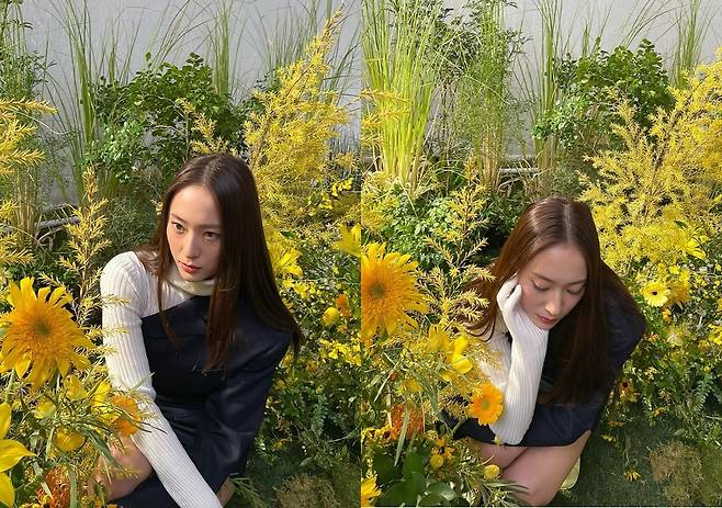 Actor Jung Soo-jung from F-X showed off her beauty.Jung Soo-jung posted several photos on his instagram with flower flower emoticons on the 24th.Jung Soo-jung in the photo is sitting in a flower field and posing. His beauty, which is comparable to colorful flowers, attracted attention by revealing his own luminous presence.The brilliant beauty of the mother beauty Jung Soo-jung was emitted as the most beautiful flower in the flower field.Fans praised the comments such as It is more beautiful than flowers, It is beautiful like flowers and It is really beautiful.Meanwhile, Jung Soo-jung won the 2021 KBS Acting Grand Prize Rookie Award and will appear on KBS 2TV new drama Crazy Love scheduled to air in February.