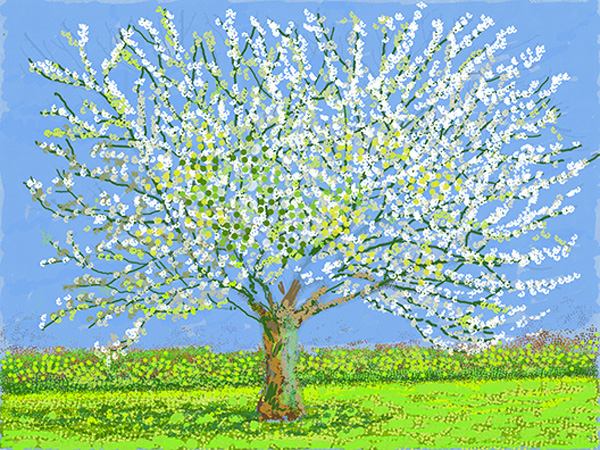 데이비드 호크니가 2020년 4월 아이패드로 그린 `No. 180`. 만개한 벚꽃의 색채가 화려하다. [사진 제공 = 데이비드 호크니]