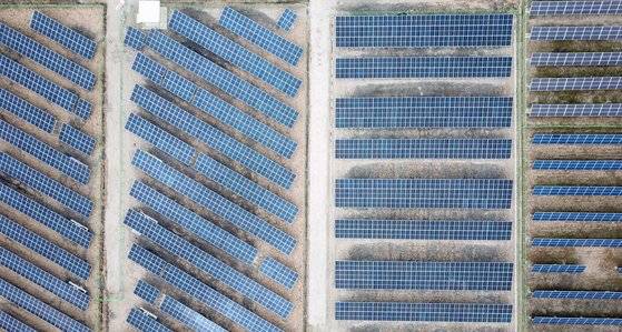 태양광 패널로 뒤덮인 논. 김은지 PD