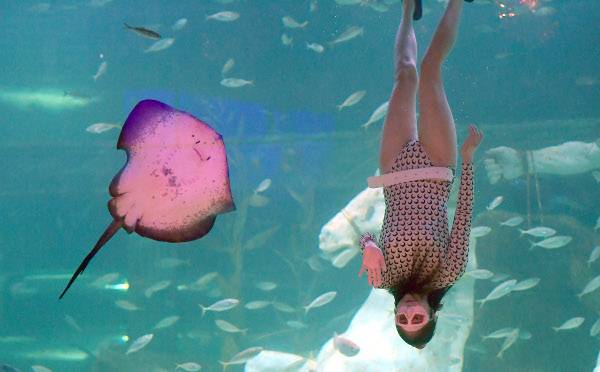 프리다이빙 체험을 하는 신은총(32)씨가 4m 깊이의 아쿠아리움 대형 수조에서 자유롭게 유영하고 있다.