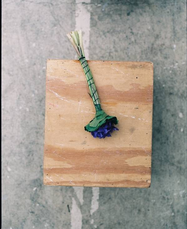 오르메 향수의 기본이 되는 자연의 원료, 꽃.