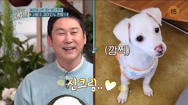 On the 26th, TVN entertainment program Amazing Saturday (hereinafter referred to as Amazing Saturday) featured There is no bad dog on Amazing Saturday.On this day, the Doremi Corps divided into puppies to match the broadcasting concept.Shin Dong-yup, who is active as an MC for SBS Animal Farm, said, Today, I am an animal farm uncle.I adopted a puppy in Yongin shelter, he said. I am so happy these days.Shin Dong-yup, who asked the name of the puppy, replied cream and could not hide his joy.Moon Se-yoon, who made a puppy make-up, was revealed. The Doremi Corps, who saw it, said, Is not it a jade?Photo = TVN Amazing Saturday broadcast screen
