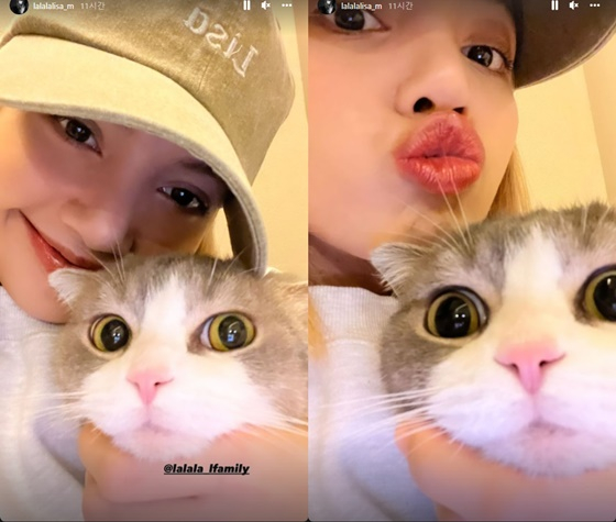 Lisa posted a photo of her with a companion on her personal Instagram story on the 10th.Lisa is looking warm with her face with a companion in the picture. A small face similar to a companion is attracting attention.Meanwhile, Lisa is about to publish her third photo book 0327, which is a collection of photos taken directly.