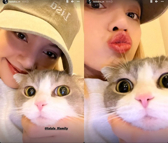 Lisa posted a photo of her with a companion on her personal Instagram story on Thursday.Lisa is looking warm with her face with a companion tomb, and a small face similar to a companion tomb attracts attention.Meanwhile, Lisa is about to publish her third photo book 0327, which is a collection of photos taken directly.