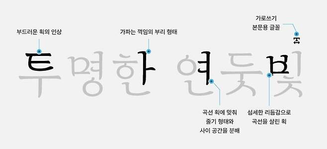 마음결체의 형태와 특징