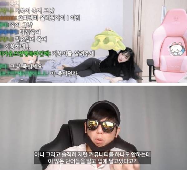 1월22일 유튜버이자 인터넷방송 스트리머인 잼미가 ‘거북이 상황극’을 하고 있다(위).대표적인 ‘사이버 레커’ 중 한 명인 뻑가가 잼미에 대해 언급하고 있다(아래). ⓒ유튜브 갈무리