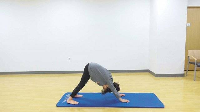 땅에 손을 집고 몸을 삼각형 형태로 접어주는 다운도그 자세. 동작이 너무 쉽다면 한쪽 무릎을 구부렸다 펴도 된다. 모델은 서울 가곡초등학교 4학년 장연규 학생이다. 이화의료원 제공