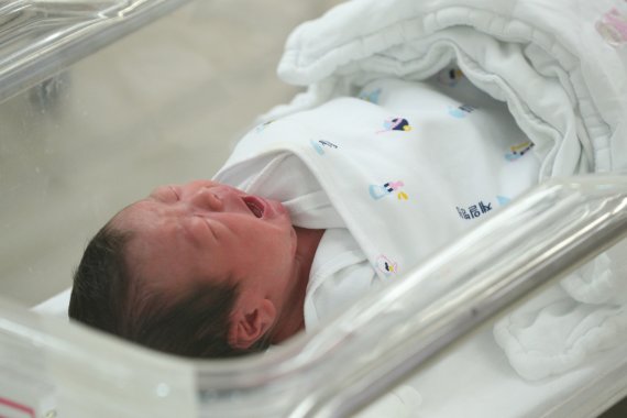 서울 중구 묵정동 제일병원 신생아실에서 신생아가 목청껏 울고 있다. © News1 신웅수 기자