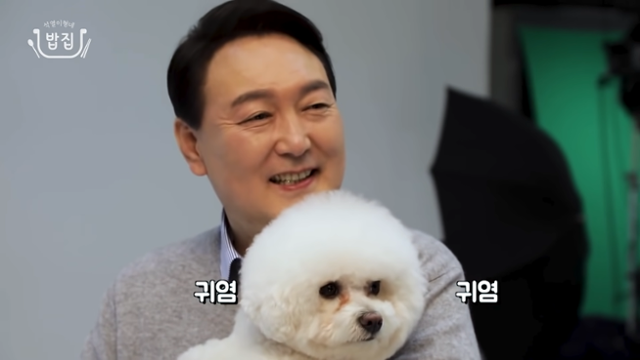 윤석열 대통령 당선인이 반려견 마리를 안고 웃고 있다. 윤석열 당선인 유튜브 캡처