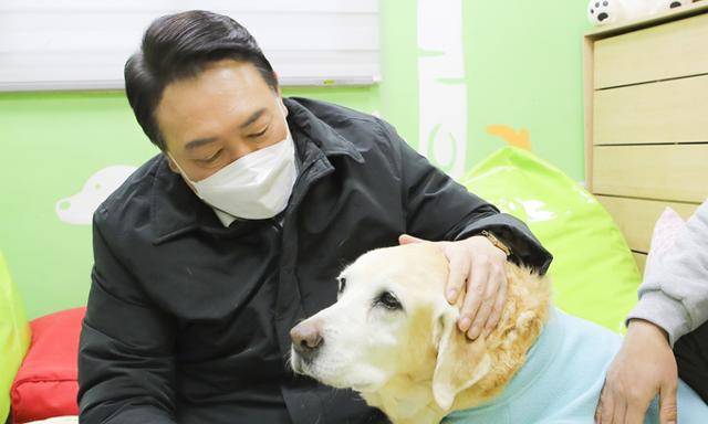 윤석열 대통령 당선인이 후보 시절 경기 용인시 삼성화재 안내견학교를 방문해 은퇴견을 안아보고 있다. 뉴시스