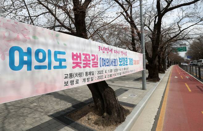 3월 31일 서울 영등포구 여의도 국회 앞. 3년만에 벚꽃길 개방 안내 현수막이 걸렸다. .강정현 기자