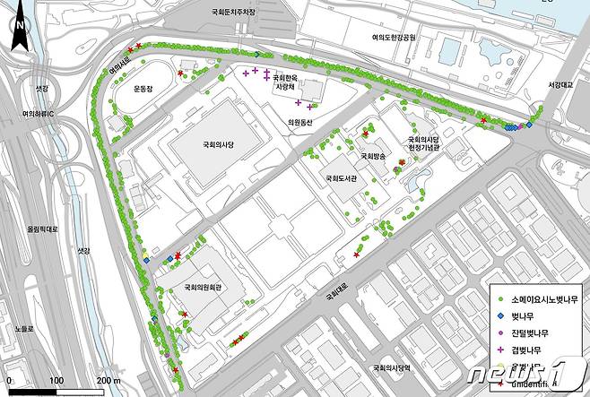 국회와 여의서로의 벚나무 식재 현황도.(왕벚프로젝트 2050 제공) © 뉴스1
