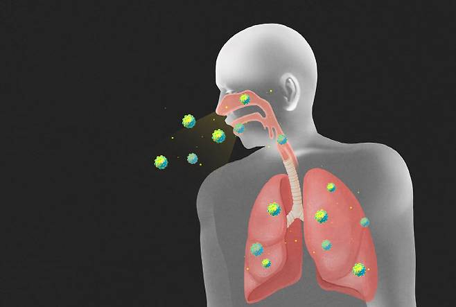 (사진=이미지투데이)