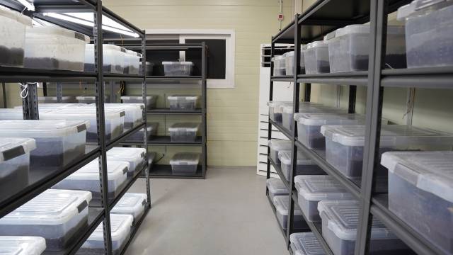 경상북도 봉화군에 위치한 흰점박이꽃무지 사육농가 /사진=김도연 기자