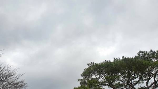 사진 제공:연합뉴스