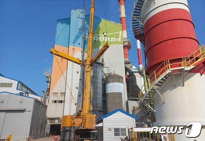 무림피앤피㈜ 울산공장.© 뉴스1