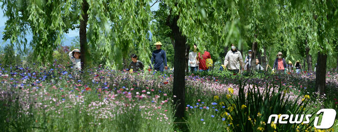 화창한 봄 날씨를 보인 15일 경남 거창군 남상면 거창창포원을 찾은 방문객들이 꽃구경을 하고 있다. (거창군 제공) 2022.5.15/뉴스1