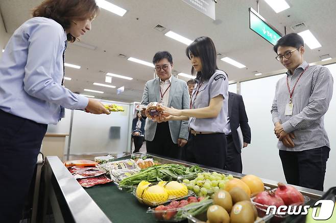 15일 오후 대구국제공항 입국장 내 합동검색대에서 아프리카돼지열병(ASF) 유입을 막기 위해 배치된 농림축산검역본부 영남지역본부 검역요원들이 동·식·수산물 검역신고 절차에 대해 설명하기 위해 검색 과정을 시연하고 있다. 2019.10.15/뉴스1 © News1 공정식 기자
