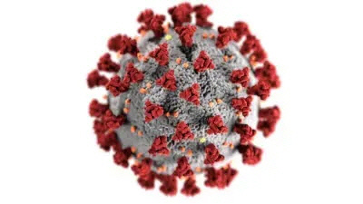 미국 질병통제예방통제센터가 만든 코로나19 바이러스 3D 이미지