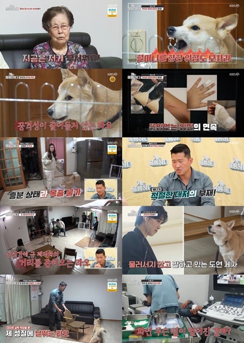 사진= KBS2 ‘개는 훌륭하다’ 캡처