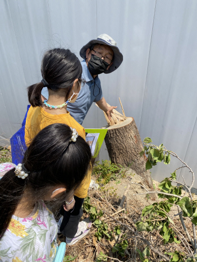 명천초는 지난 17일 3학년을 대상으로 학교 숲에서 금강유역환경청이 주관하는 찾아가는 생생 환경교육에 참여했다. 사진=명천초 제공