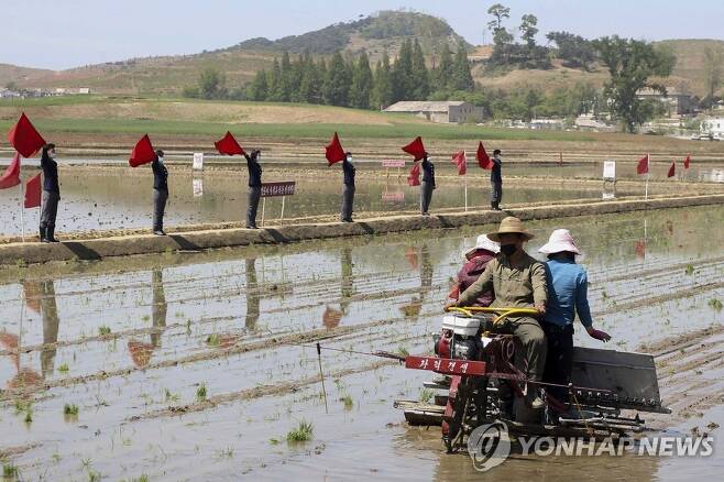 모내기 나서는 북한 농민들 (남포 AP=연합뉴스) 9일 북한 남포시 강서구의 한 집단농장에서 농민들이 모내기에 나서고 있다. 2022.5.10 jsmoon@yna.co.kr