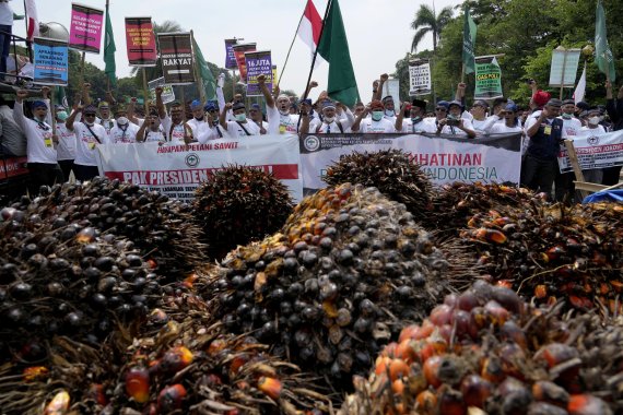지난 17일 인도네시아 자카르타의 대통령궁 인근에서 농민들이 팜유 수출 금지를 해제할 것을 요구하며 구호를 외치고 있다. AP뉴시스