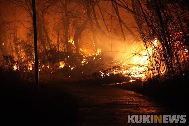 산불(쿠키뉴스 자료사진)