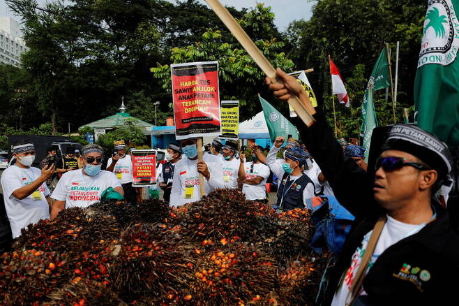 지난 17일 인도네시아 수도 자카르타에서 인도네시아 팜유 농가가 팜유 수출 금지에 항의하는 시위를 벌였을 때의 모습. 로이터 연합뉴스