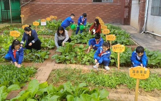 중국 교육부는 2022년 가을 신학기부터 초중교 학생들에게 요리, 채소 재배하기, 가전제품 수리하기 등 노동을 정식 과목으로 독립시켜 가르친다. [중국 바이두 캡처]