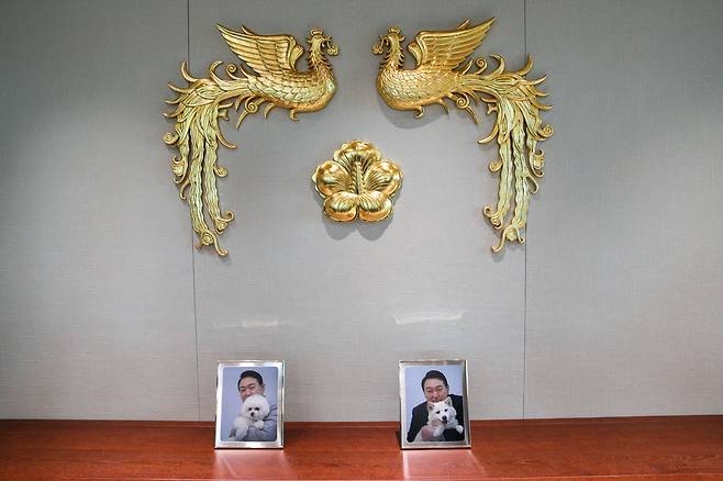 (서울=뉴스1) 안은나 기자 = 25일 용산 대통령실에 윤석열 대통령과 애완견 토리, 마리의 사진이 놓여 있다. (대통령실사진기자단) 2022.5.25/뉴스1