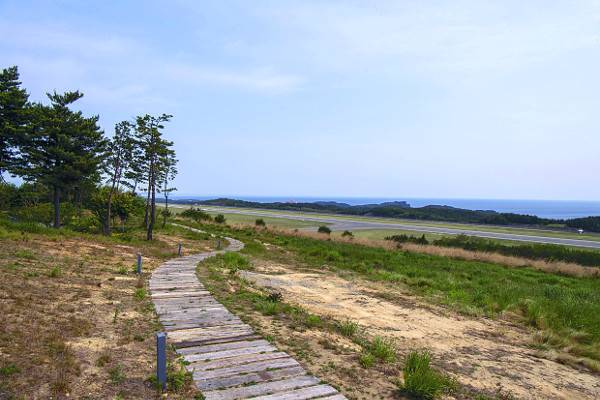 바닷바람을 온몸으로 품을 수 있는 설해원 해풍 산책길.