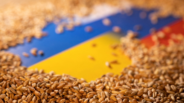 우크라이나와 러시아 국기에 둘러싸인 곡물 [사진 제공: 연합뉴스]