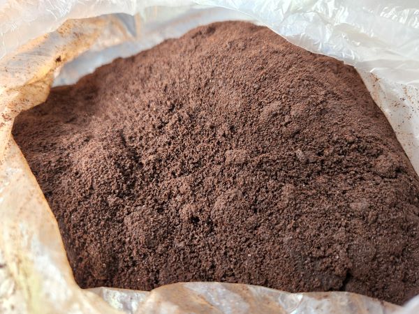 커피 원두를 추출한 뒤 발생하는 커피 찌꺼기.